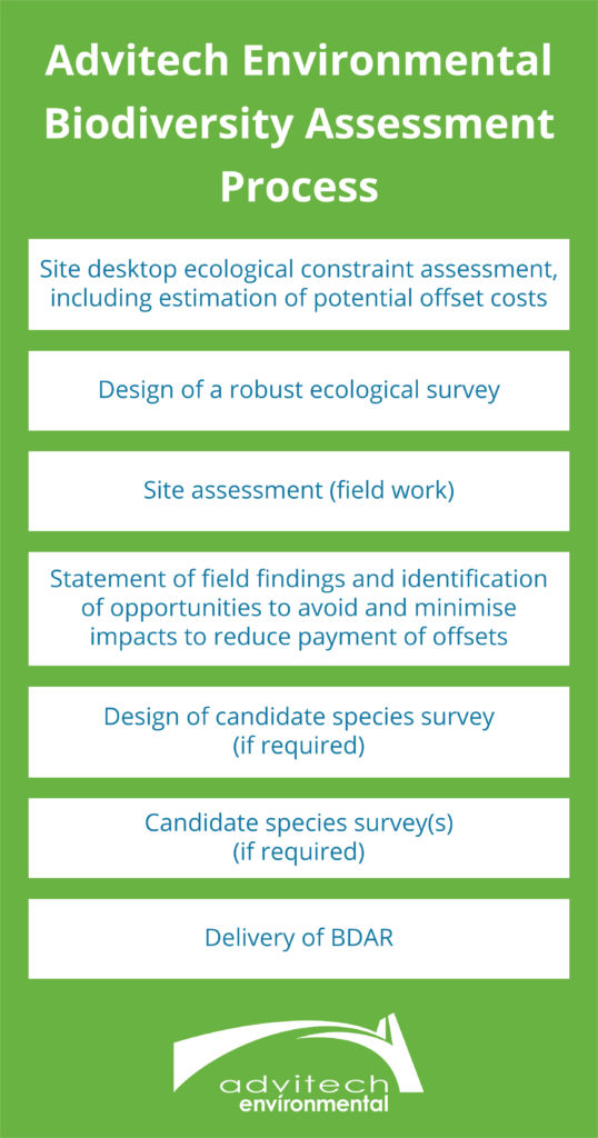 Biodiversity Development Assessment Reports - BDARs - Advitech